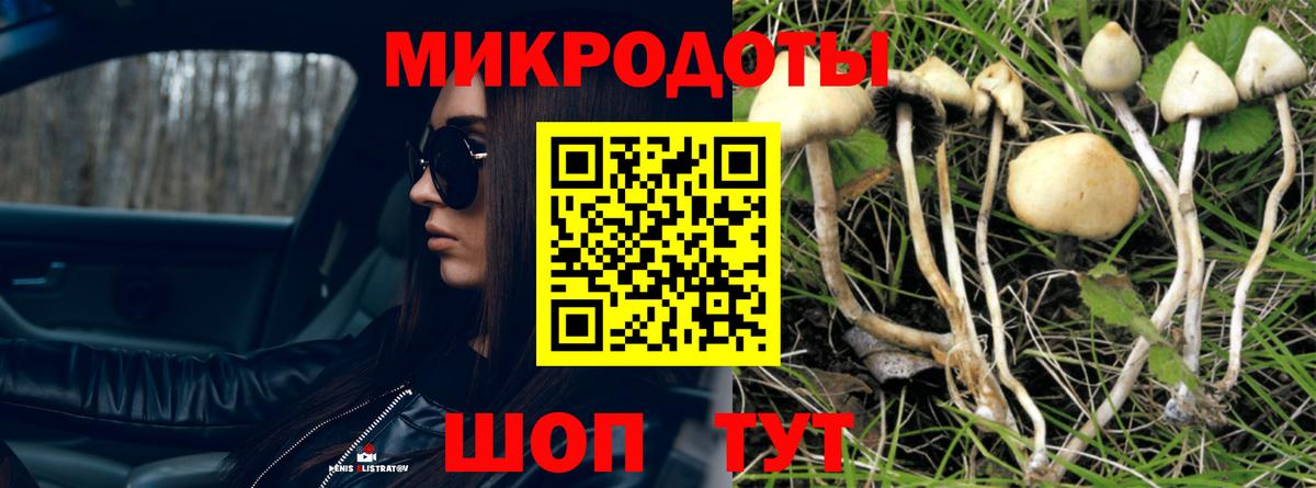 Галлюциногенные грибы Psilocybe Отрадный